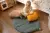 mata lisc do zabawy.webp