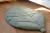 mata niemowleca lisc.webp